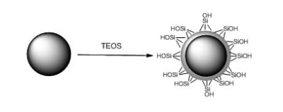 二氧化硅磁性微球-产品结构