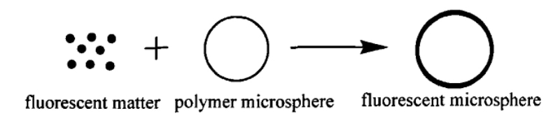 图1. 用吸附法制备荧光微球