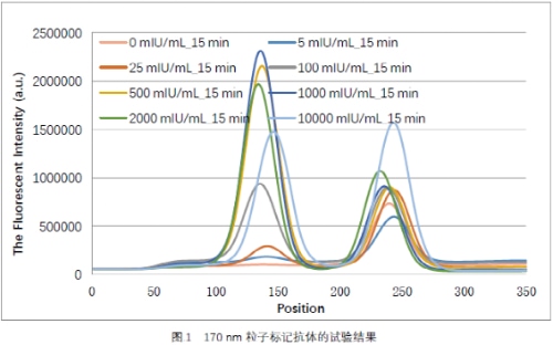 170 nm粒子标记抗体的试验结果