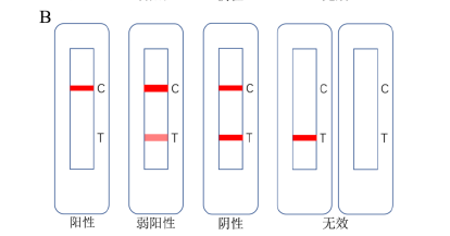 竞争法示意图【3】