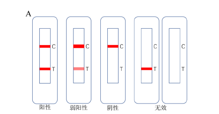 夹心法示意图【2】