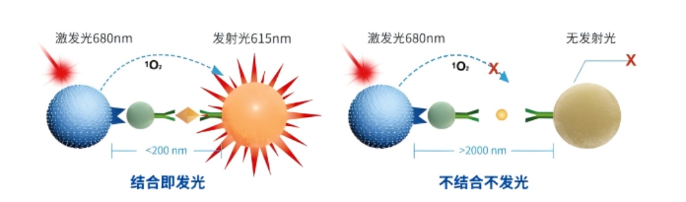 光激化学发光反应原理