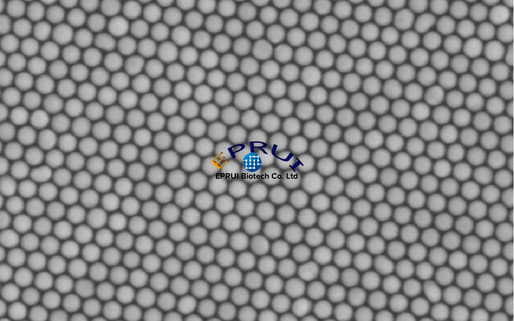 金纳米球(Au Nanoparticles)